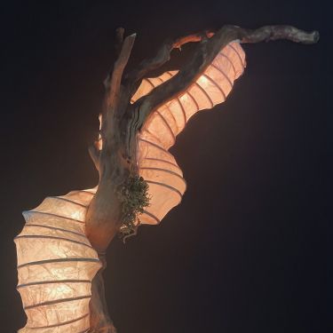 Lampe Entrelacé
